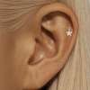 Cris Piercing 15 - 18254
