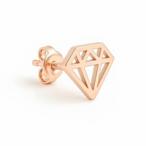 Mini Diamond Küpe