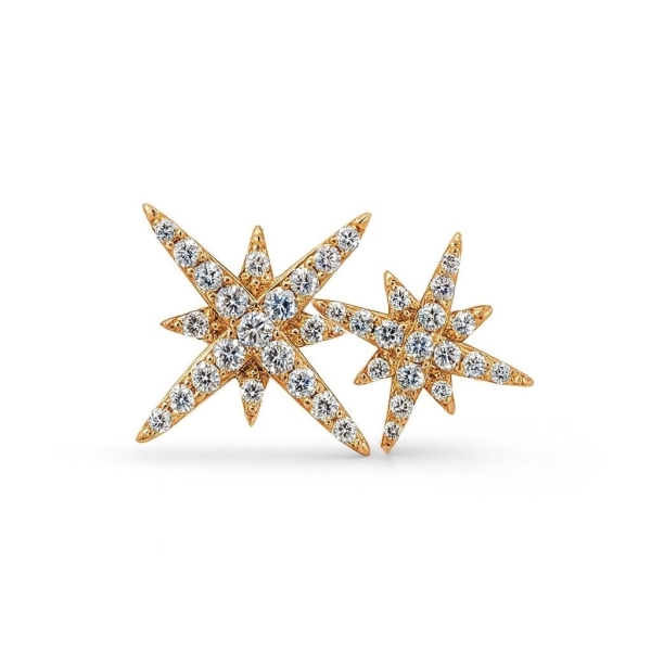 Kutup Yıldızı Küpe / Rose