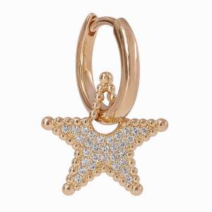 Halkası Çıkan Yıldız Küpe