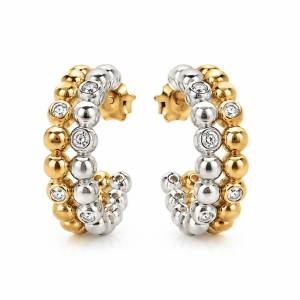 Premium Series İki Ton Bezel Ball Halka Küpe